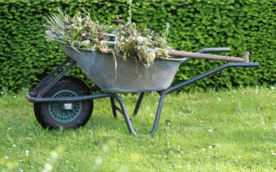 Maak je tuin lenteklaar: de 7 belangrijkste tips!